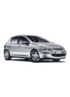 Peugeot 307 Auspuffanlage – Qualität zum besten Preis